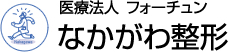 なかがわ整形 医療全身脱毛